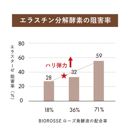 エラスターゼ阻害作用