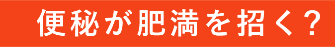 便秘が肥満を招く?