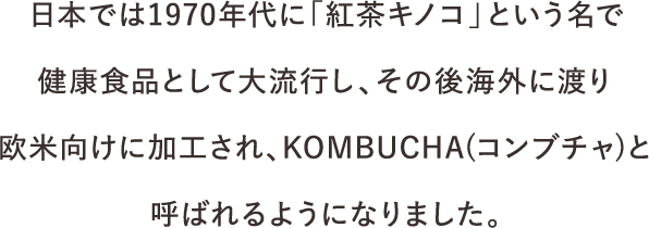 日本では1970年代に「紅茶キノコ」という名で健康食品として大流行し、その後海外に渡り欧米向けに加工され、KOMBUCHA(コンブチャ)と呼ばれるようになりました。