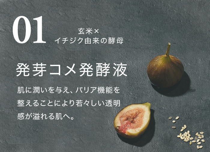 セパルフェ リフティ｜究極濃度の複合発酵ウォーターレス（無加水