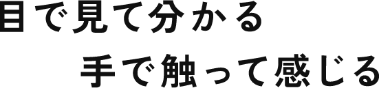 目で見て分かる 手で触って感じる