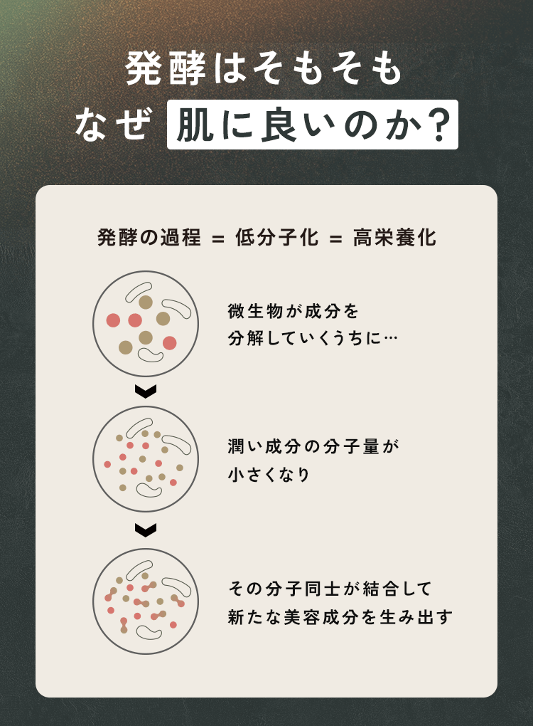 発酵はそもそもなぜ肌に良いのか？