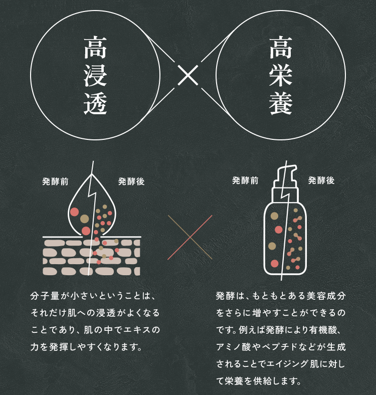高浸透×高栄養