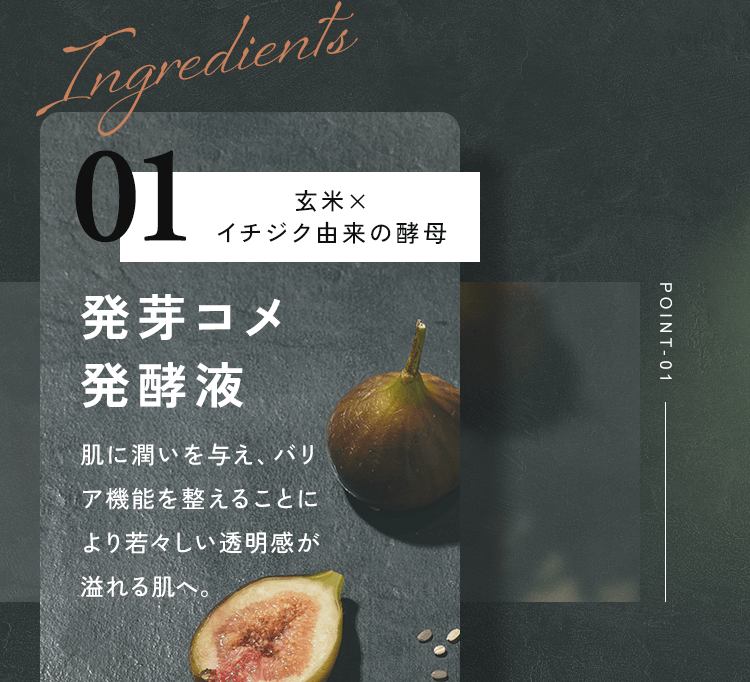 発芽コメ発酵液