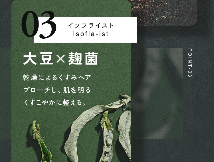 大豆×麹菌