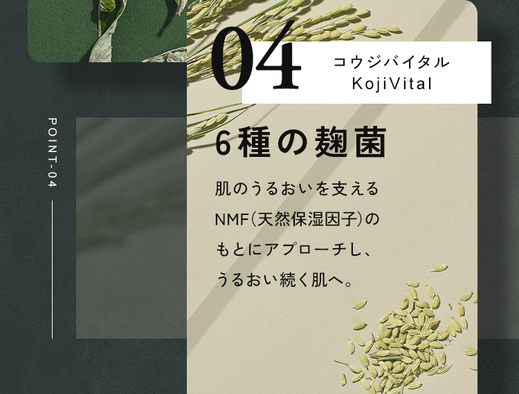 ６種の麹菌
