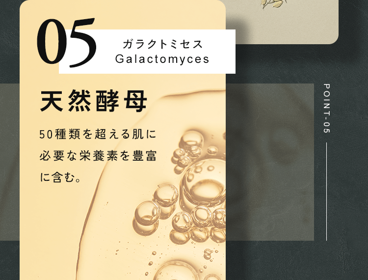 天然酵母