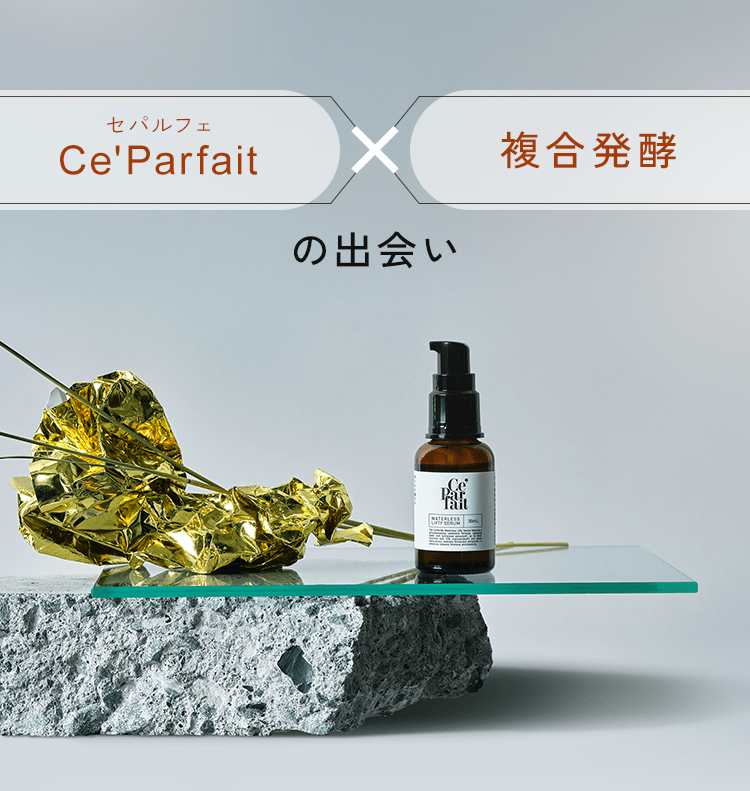 セパルフェ×複合発酵の出会い